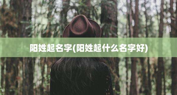 阳姓起名字(阳姓起什么名字好)