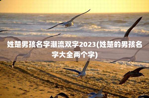 姓楚男孩名字潮流双字2023(姓楚的男孩名字大全两个字)