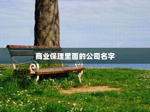 商业保理里面的公司名字