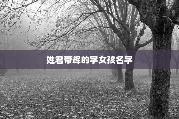 姓君带辉的字女孩名字