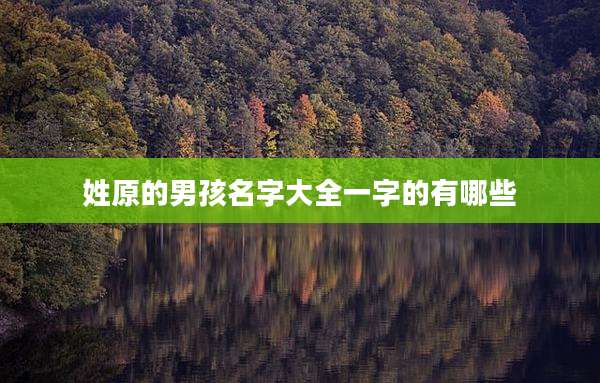 姓原的男孩名字大全一字的有哪些