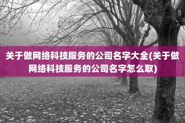 关于做网络科技服务的公司名字大全(关于做网络科技服务的公司名字怎么取)