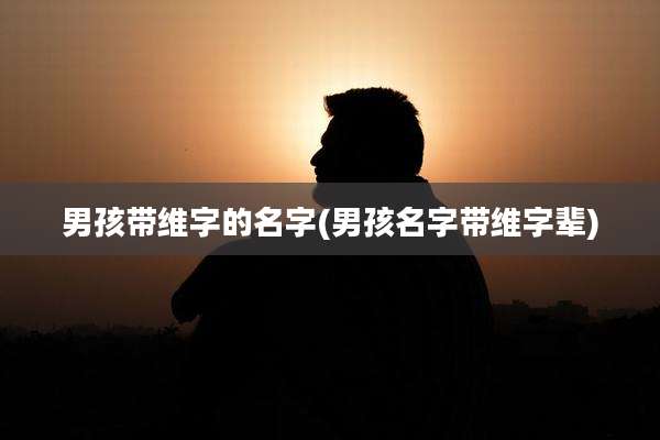 男孩带维字的名字(男孩名字带维字辈)