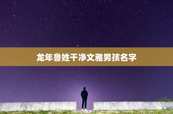 龙年鲁姓干净文雅男孩名字