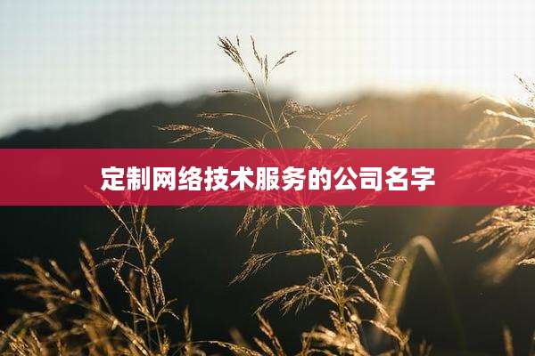 定制网络技术服务的公司名字