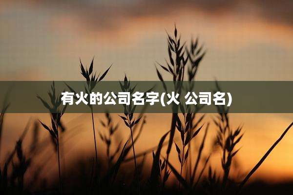 有火的公司名字(火 公司名)