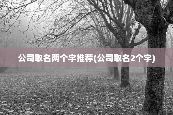 公司取名两个字推荐(公司取名2个字)