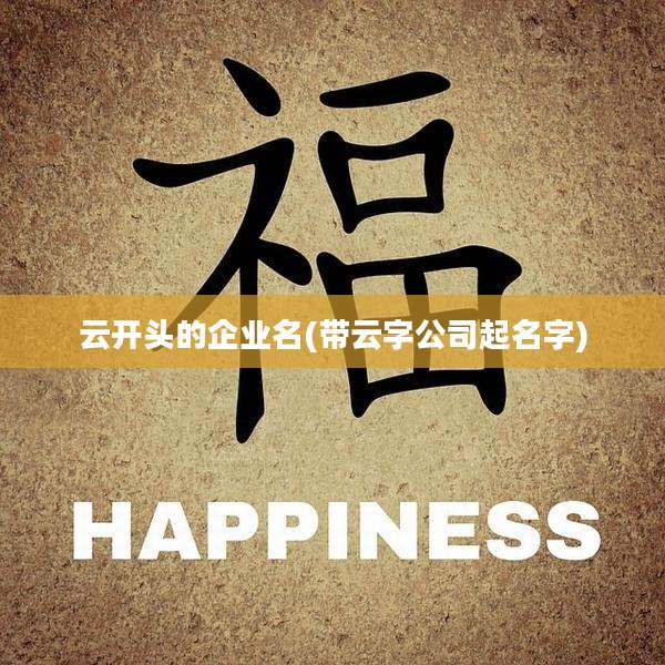 云开头的企业名(带云字公司起名字)