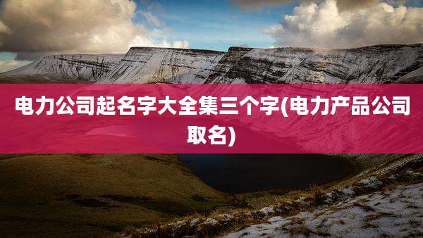 电力公司起名字大全集三个字(电力产品公司取名)