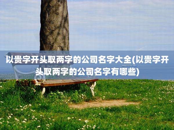 以贵字开头取两字的公司名字大全(以贵字开头取两字的公司名字有哪些)