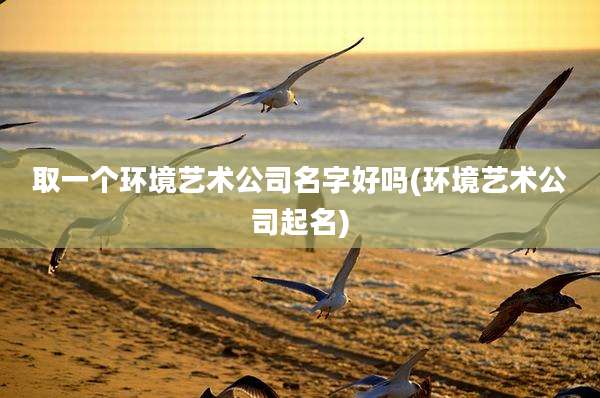 取一个环境艺术公司名字好吗(环境艺术公司起名)