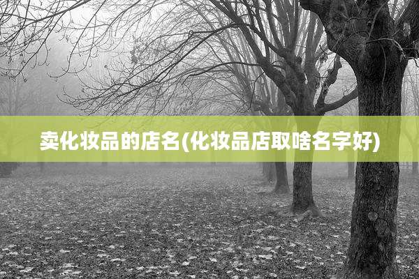 卖化妆品的店名(化妆品店取啥名字好)