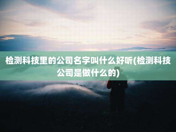 检测科技里的公司名字叫什么好听(检测科技公司是做什么的)