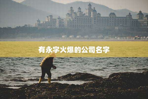 有永字火爆的公司名字
