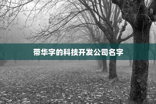 带华字的科技开发公司名字