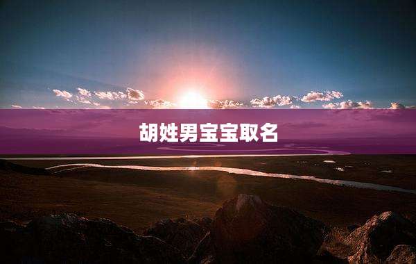 胡姓男宝宝取名