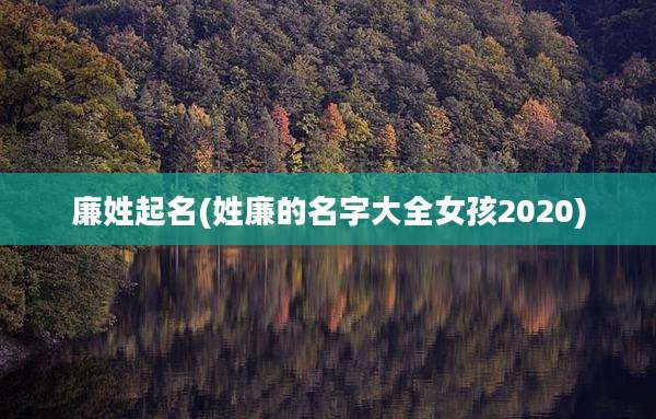廉姓起名(姓廉的名字大全女孩2020)