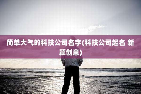 简单大气的科技公司名字(科技公司起名 新颖创意)
