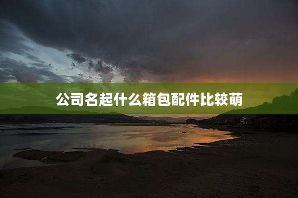 公司名起什么箱包配件比较萌