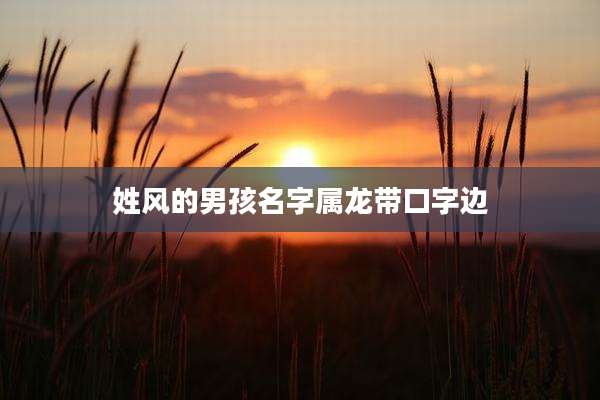 姓风的男孩名字属龙带口字边
