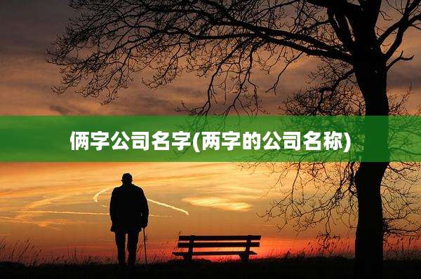 俩字公司名字(两字的公司名称)