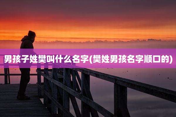 男孩子姓樊叫什么名字(樊姓男孩名字顺口的)