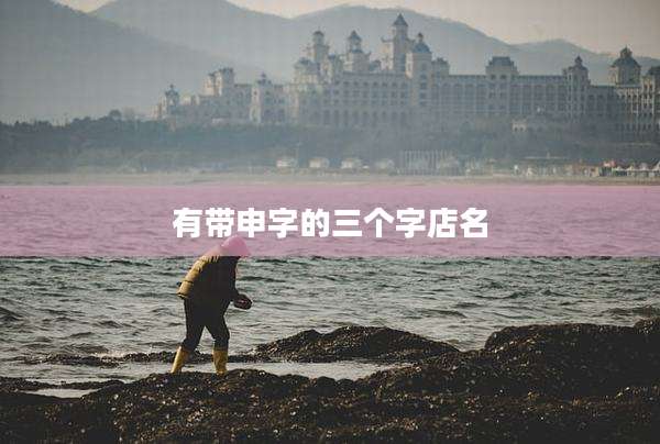 有带申字的三个字店名