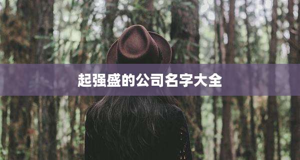 起强盛的公司名字大全