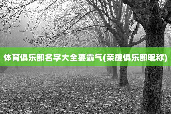 体育俱乐部名字大全要霸气(荣耀俱乐部昵称)