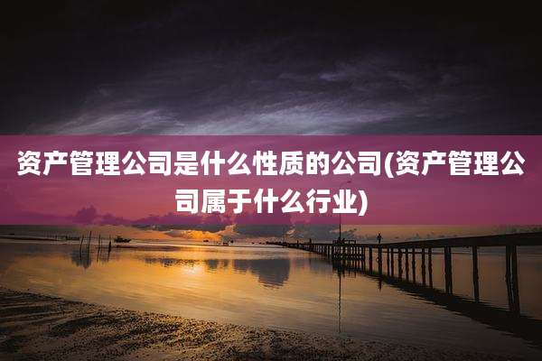 资产管理公司是什么性质的公司(资产管理公司属于什么行业)