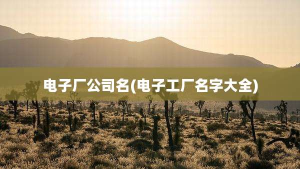 电子厂公司名(电子工厂名字大全)