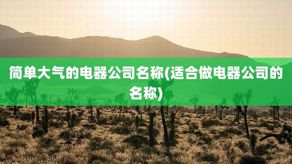 简单大气的电器公司名称(适合做电器公司的名称)