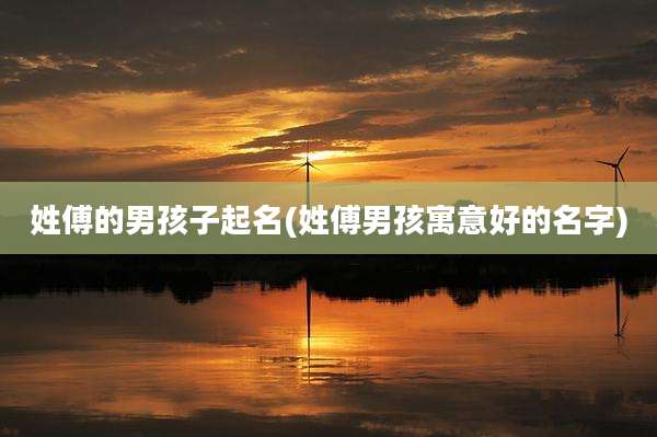 姓傅的男孩子起名(姓傅男孩寓意好的名字)