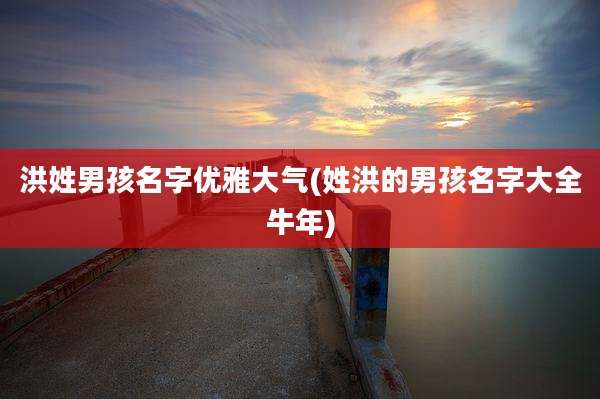 洪姓男孩名字优雅大气(姓洪的男孩名字大全牛年)