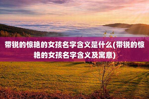 带锐的惊艳的女孩名字含义是什么(带锐的惊艳的女孩名字含义及寓意)