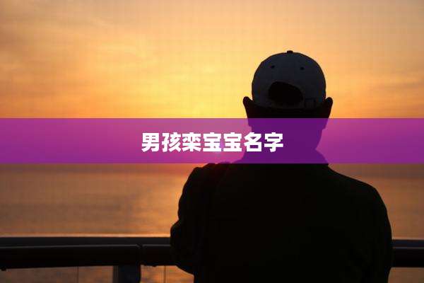 男孩栾宝宝名字