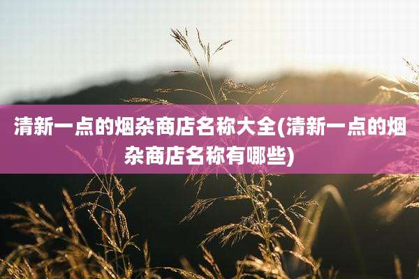 清新一点的烟杂商店名称大全(清新一点的烟杂商店名称有哪些)