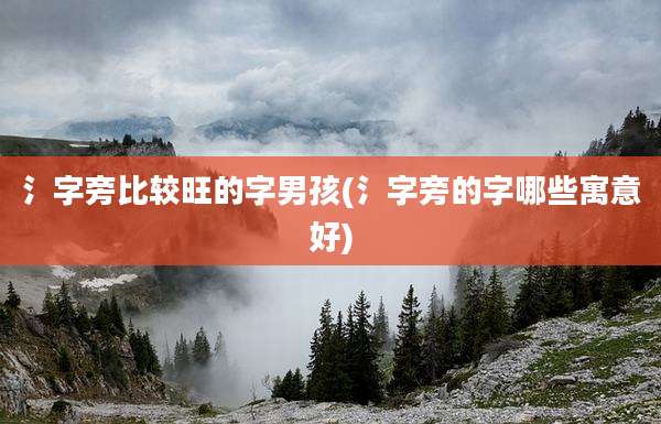 氵字旁比较旺的字男孩(氵字旁的字哪些寓意好)