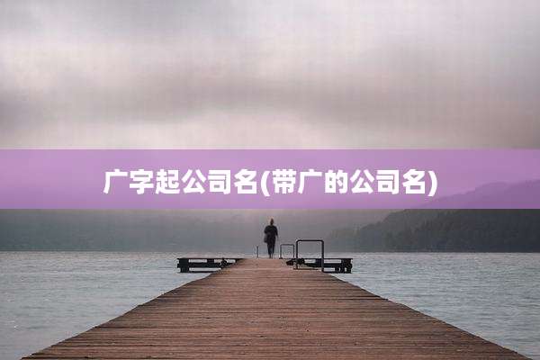 广字起公司名(带广的公司名)