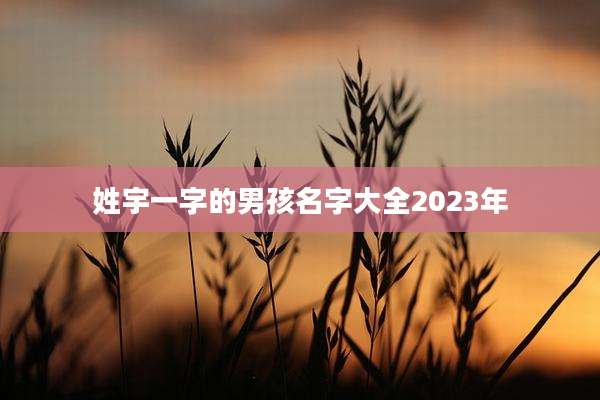 姓宇一字的男孩名字大全2023年