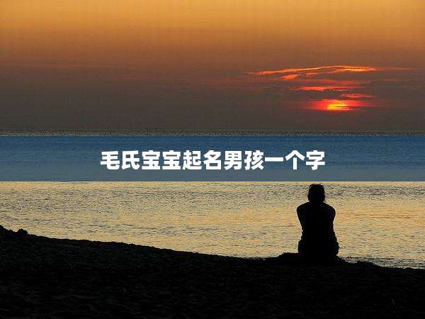 毛氏宝宝起名男孩一个字