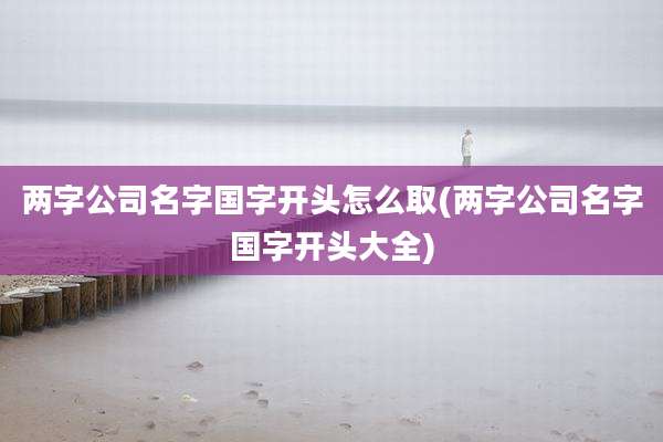 两字公司名字国字开头怎么取(两字公司名字国字开头大全)