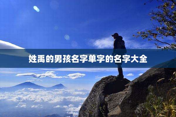 姓禹的男孩名字单字的名字大全