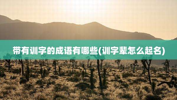 带有训字的成语有哪些(训字辈怎么起名)