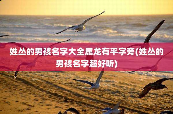姓丛的男孩名字大全属龙有平字旁(姓丛的男孩名字超好听)