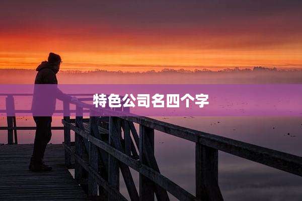 特色公司名四个字