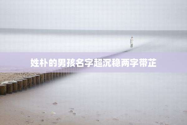 姓朴的男孩名字超沉稳两字带芷