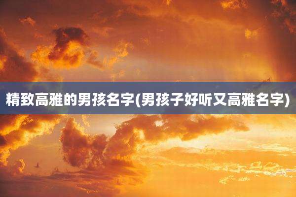 精致高雅的男孩名字(男孩子好听又高雅名字)