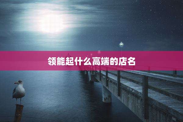 领能起什么高端的店名