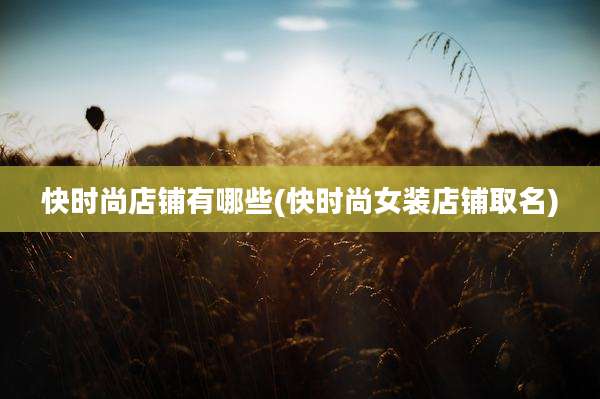 快时尚店铺有哪些(快时尚女装店铺取名)